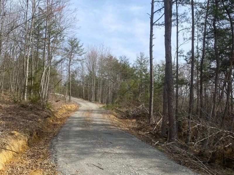 Large Off Grid Tract Near I-75 : Williamsburg : Whitley County : Kentucky