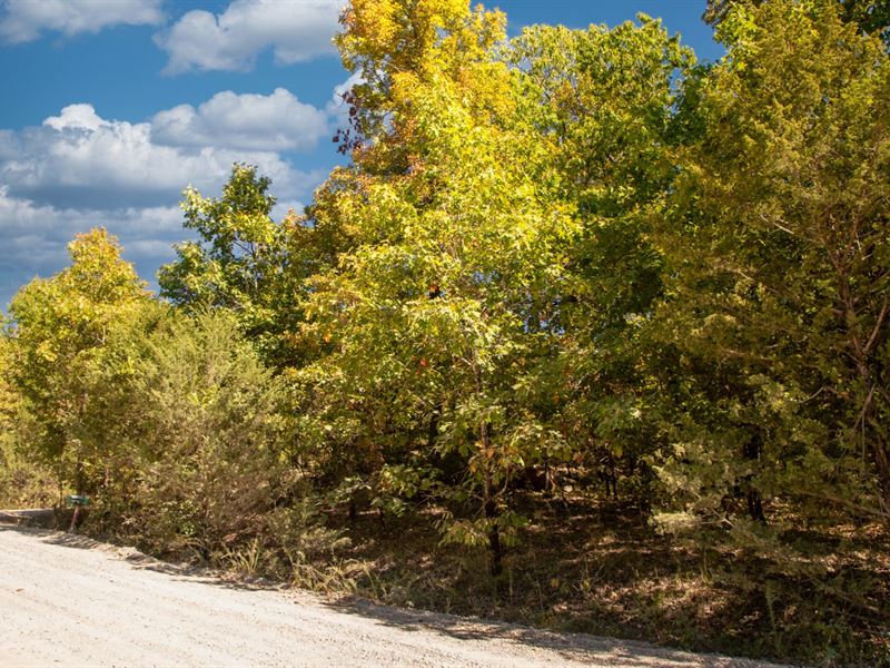 Large Corner Lot Near Lakes & Golf : Horseshoe Bend : Izard County : Arkansas