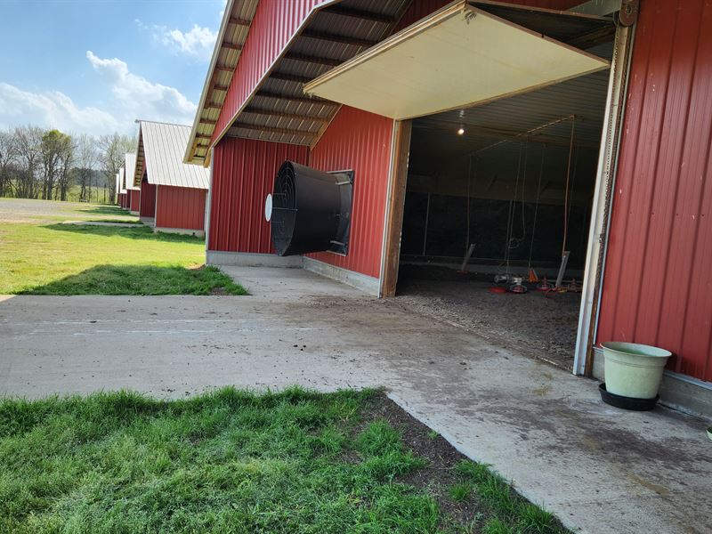 Perdue Farm, 6 Houses, Built 2017 : Pineview : Pulaski County : Georgia