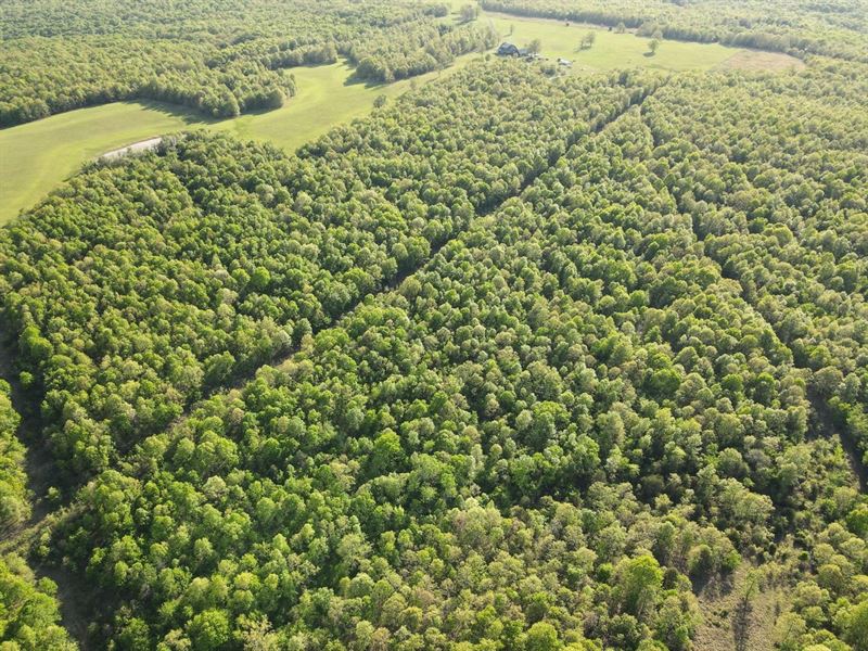 Dickinson Ridge : Bradford : White County : Arkansas