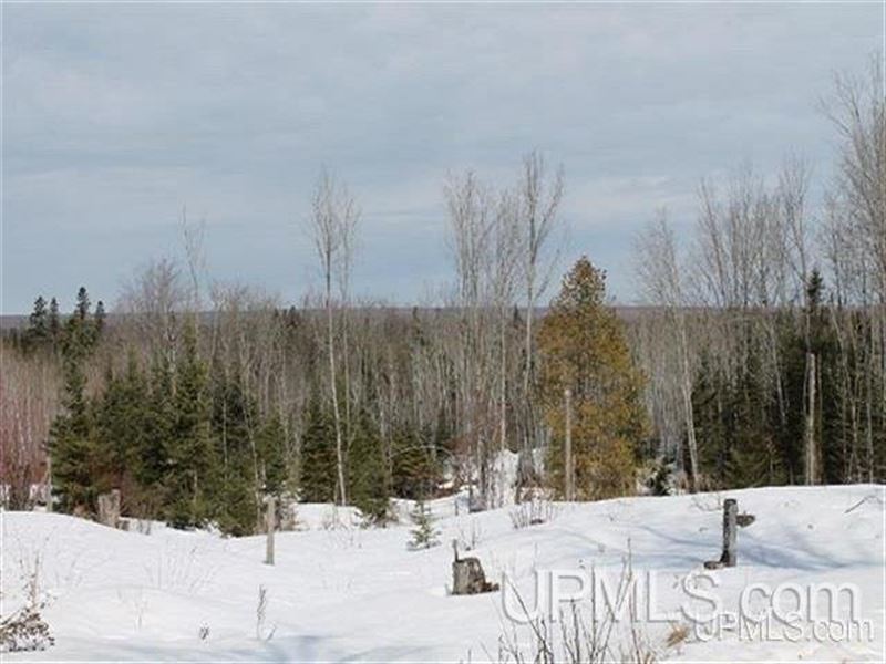 Off The Grid 80 Acre Farm 50106373 : Baraga : Baraga County : Michigan