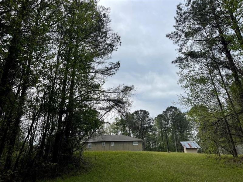 32 Acres with A Camp in Jasper Coun : Heidelburg : Jasper County : Mississippi