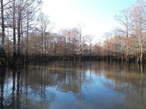 Hunting & Recreational Land For Sal : Bogalusa : Washington Parish : Louisiana