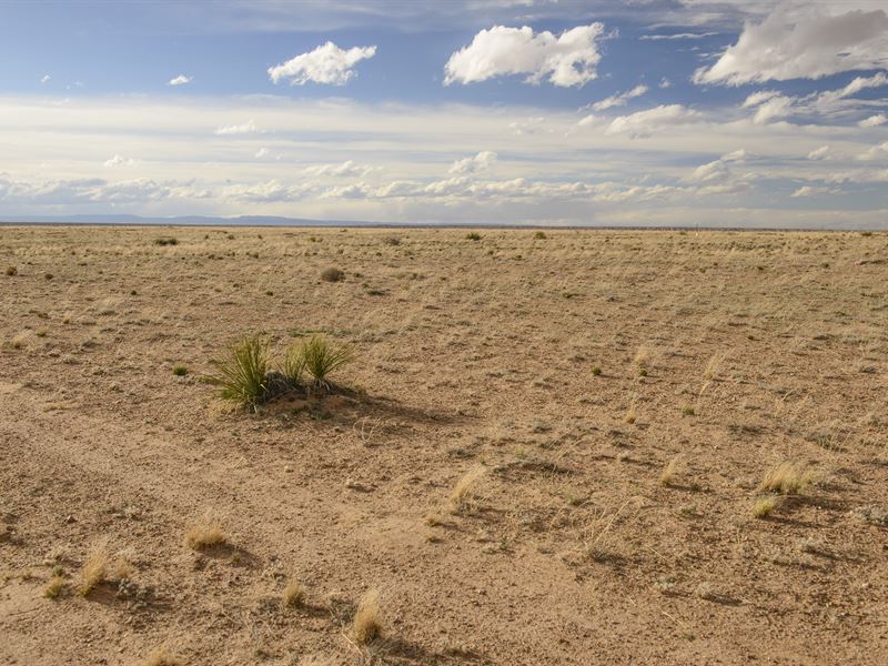 Double Lot Near Town : Belen : Valencia County : New Mexico