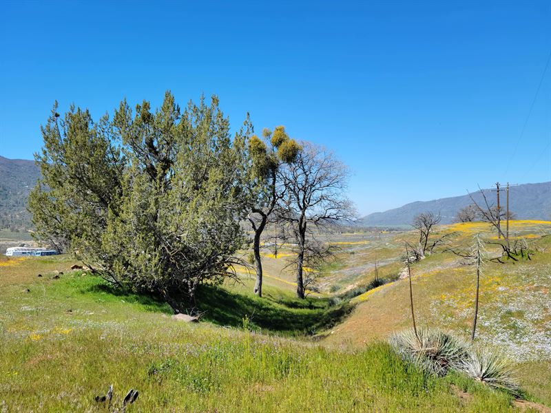 Great Access and View Near Electric : Caliente : Kern County : California