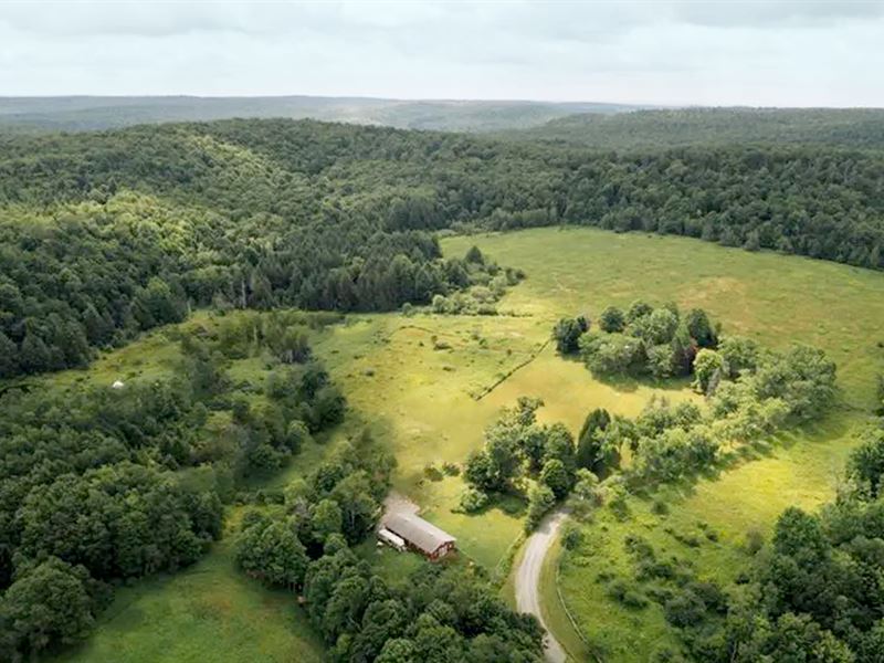 218K Sqft in Hancock, NY : Roscoe : Delaware County : New York
