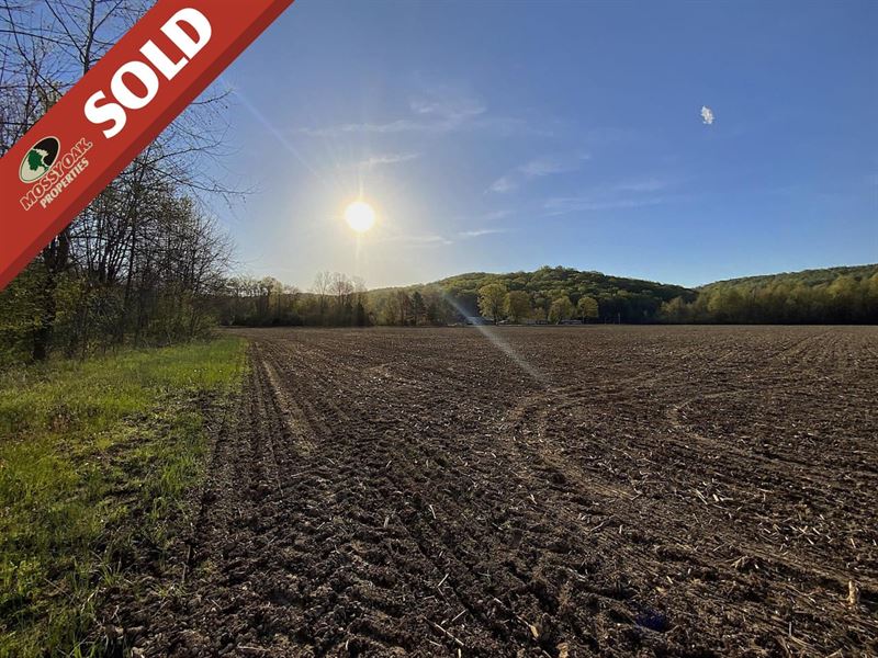Pine Top Rd, 21 Acres, Pike Count : Bainbridge : Pike County : Ohio