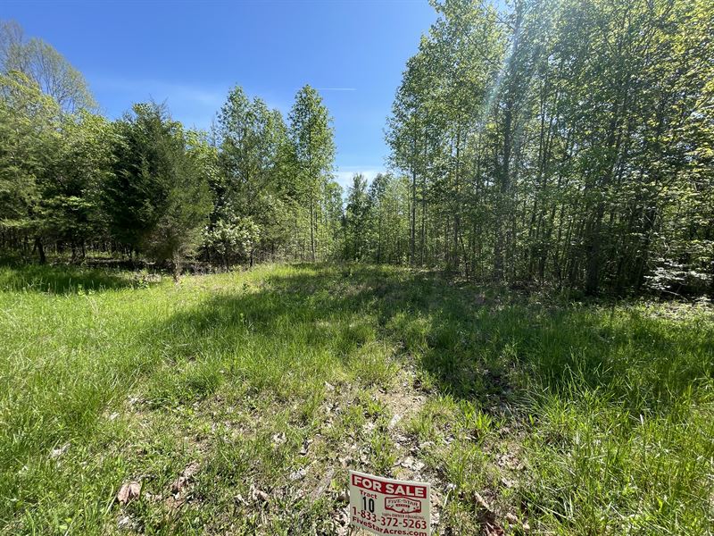 4-18 Acre Great Hunting / Camping : Greensburg : Green County : Kentucky