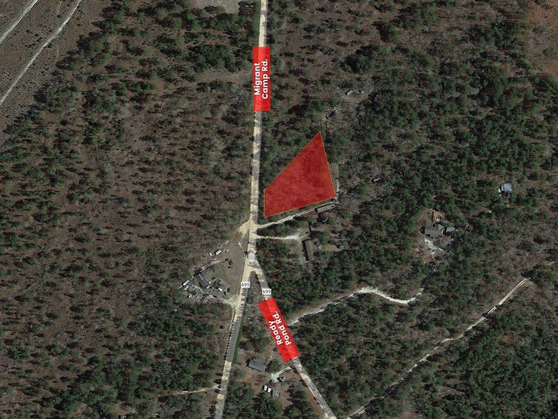 1.14 Acre Vacant Land in Batesburg : Batesburg-Leesville : Aiken County : South Carolina