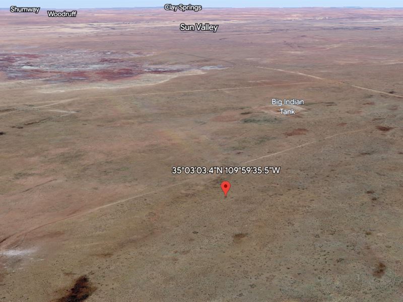 1.25 Ac in Arizona, $49 Down : Sun Valley : Navajo County : Arizona