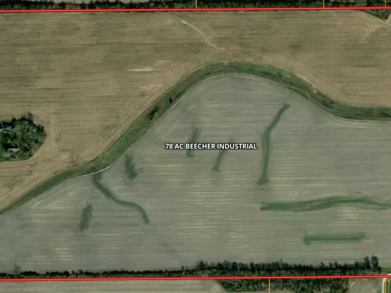 78 Acres, Beecher Industrial : Beecher : Will County : Illinois