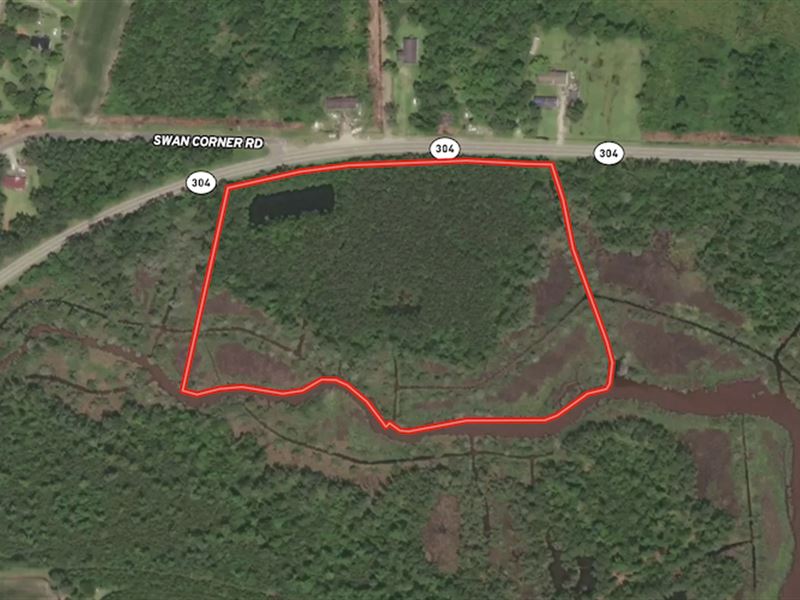 9 Acres of Recrea : Bayboro : Pamlico County : North Carolina