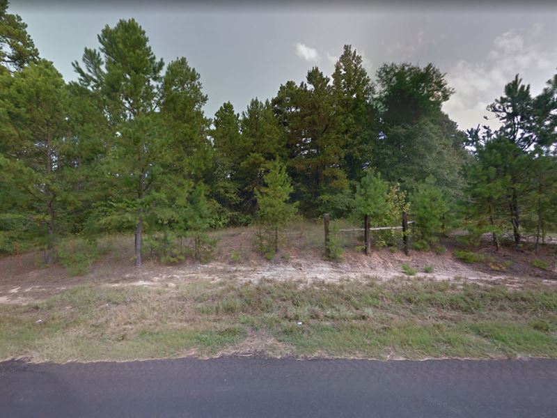 .08 Acre in Mineola, $200/Month : Mineola : Smith County : Texas