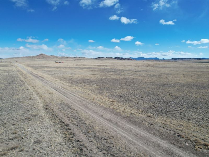 Wide Open Spaces & Wildlife : Hartsel : Park County : Colorado