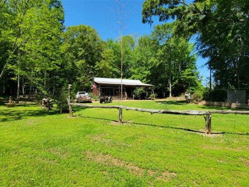 28 Acres with A Camp in Jefferson : Fayette : Jefferson County : Mississippi
