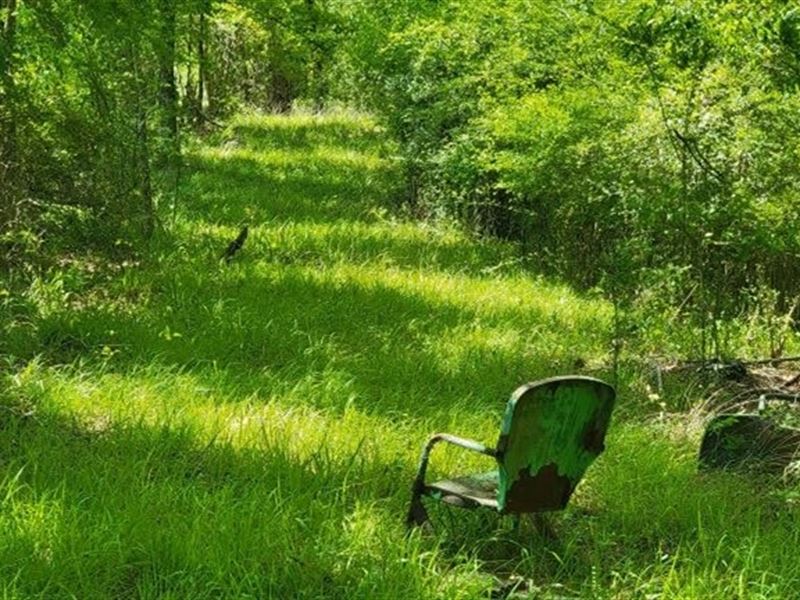 60 Acres with A Camp in Copiah Coun : Hazlehurst : Copiah County : Mississippi