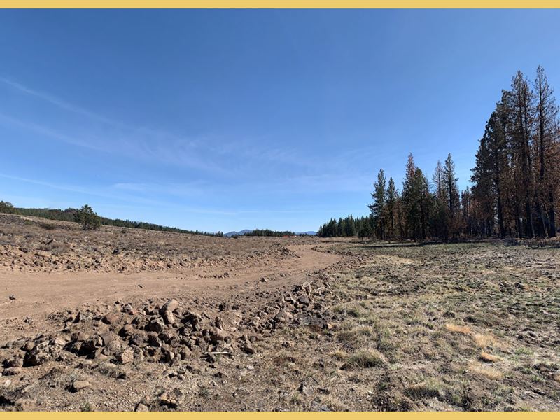 Camp, Fish & Hike, Off-Grid Lovers : Sprague River : Klamath County : Oregon