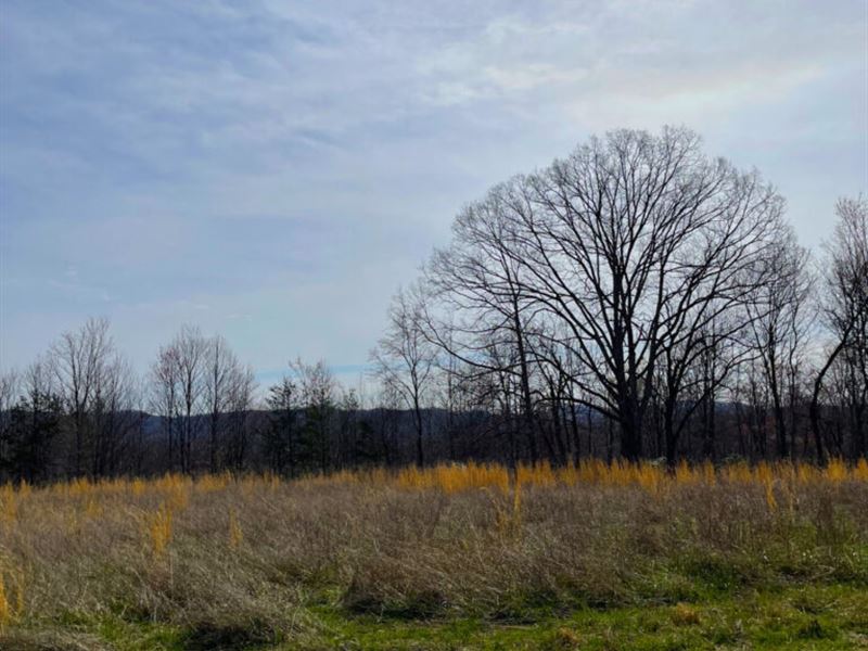 Off Grid Land Near I-75 : Williamsburg : Whitley County : Kentucky