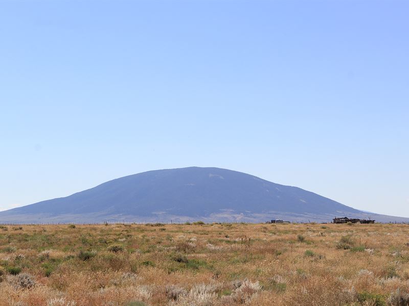 Unveiling Serene Adjoining Lots : Mesita : Costilla County : Colorado
