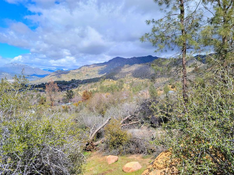 Perched Up, End Of The Road : Bodfish : Kern County : California