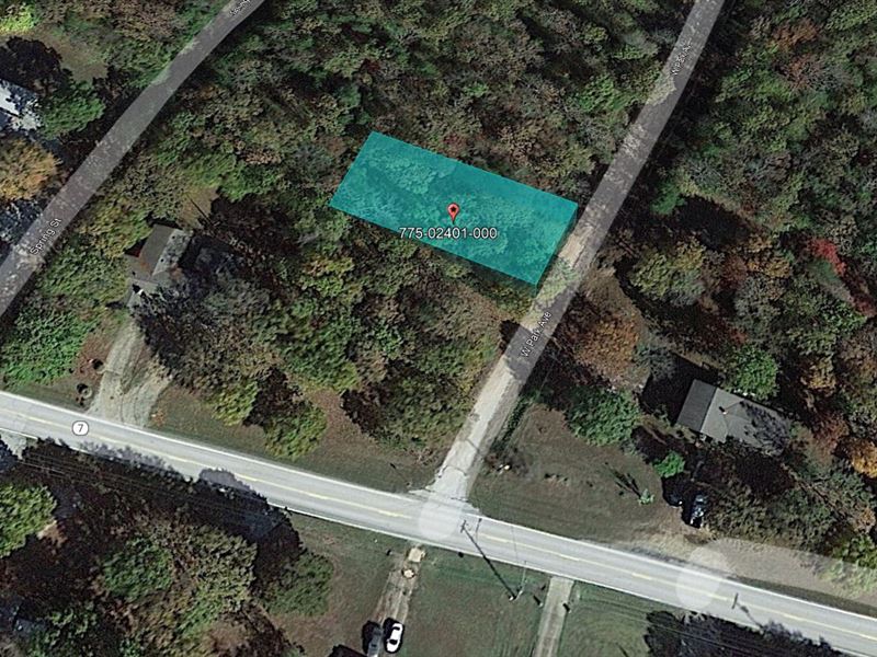 .20 Acre of Limitless Opportunity : Lead Hill : Boone County : Arkansas