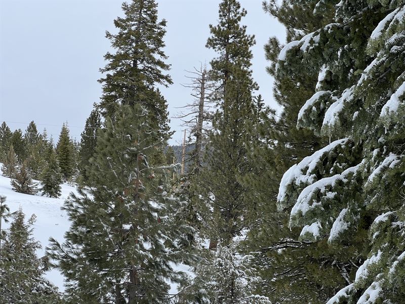 Off Grid Living At Its Best : Adin : Modoc County : California