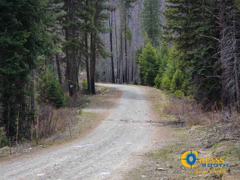Bemish Creek Tract : Plains : Sanders County : Montana
