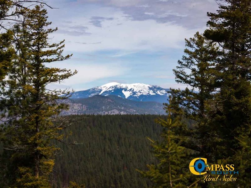 Arvilla Ridge Tract : Plains : Sanders County : Montana