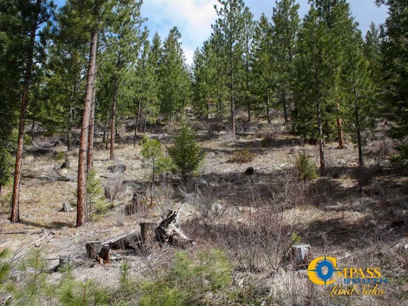 Combest Creek Road Tract 3 : Plains : Sanders County : Montana