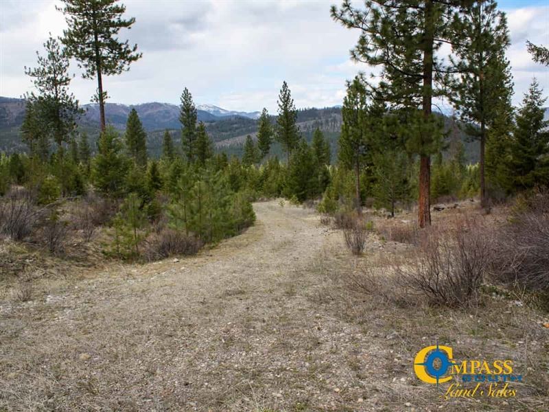 Combest Creek Road Tract 1 : Plains : Sanders County : Montana