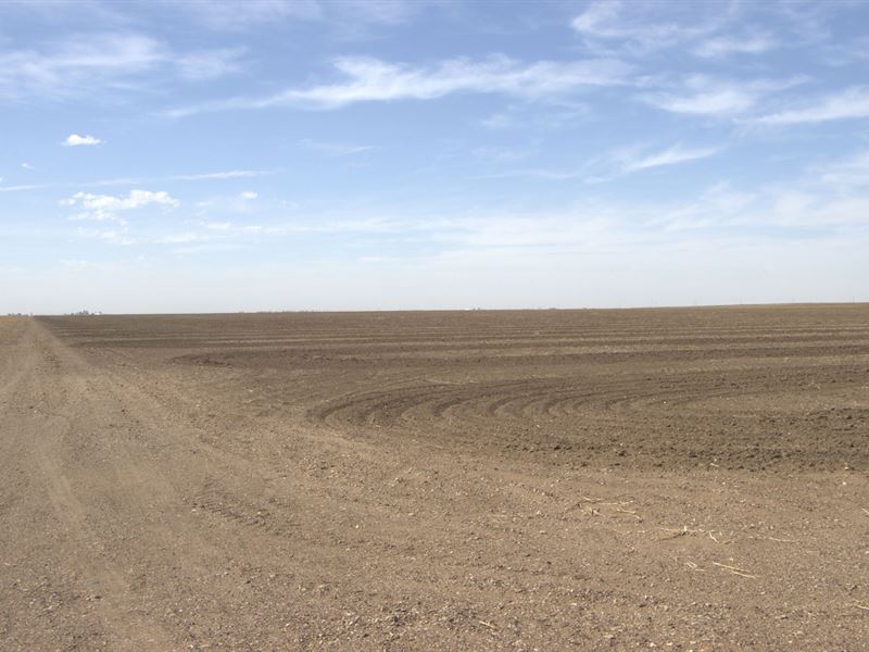 Wiggains Farms 160 East : Hooker : Texas County : Oklahoma