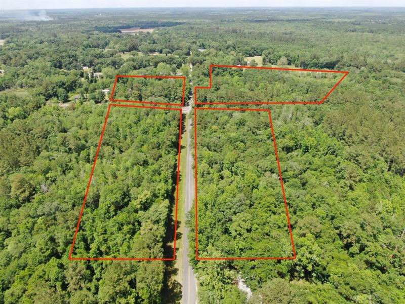 Awesome 21 Acre Hunting/Timberland : Greenville : Madison County : Florida