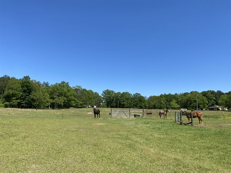 Bring The Horses : Cusseta : Lee County : Alabama