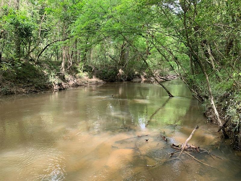 Stunning 105 Acre South MS Timberla : Ruth : Pike County : Mississippi