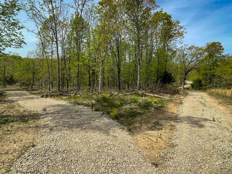 A Seasonal Stream Flows Through it : Mammoth Spring : Fulton County : Arkansas