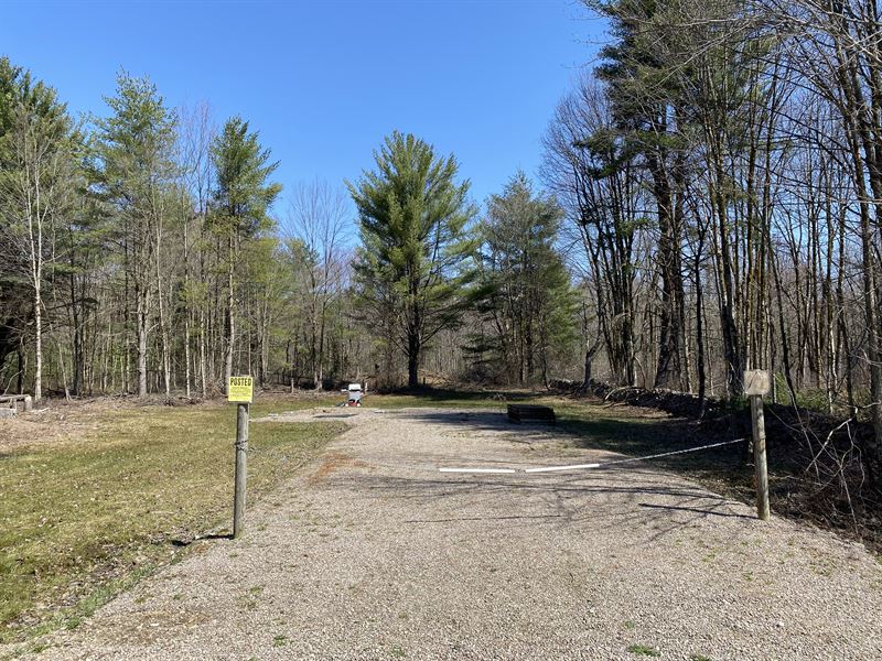 Stone Hill Camp Lot : Williamstown : Oswego County : New York