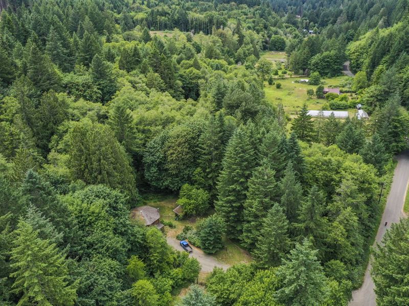 Financing Available : Alsea : Benton County : Oregon