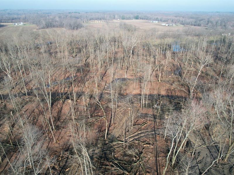 Land for Sale in Green County, IN 7 : Jasonville : Greene County : Indiana