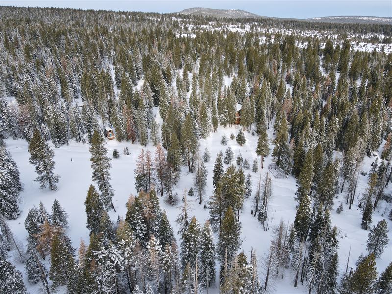 Tucked Into Paradise : Adin : Modoc County : California
