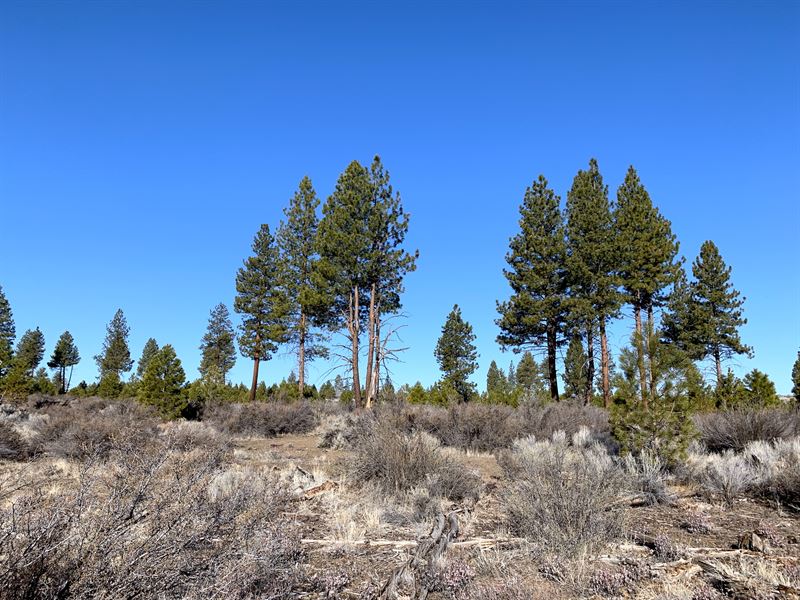 Drop Off to 2.4 Acres in Chiloquin : Chiloquin : Klamath County : Oregon