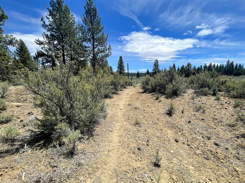 Embrace Tranquility in Chiloquin : Chiloquin : Klamath County : Oregon