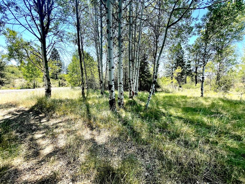 The Perfect Retirement Investment : Chiloquin : Klamath County : Oregon