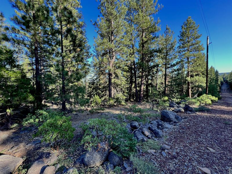 Now You Can Afford Alturas, CA : Alturas : Modoc County : California
