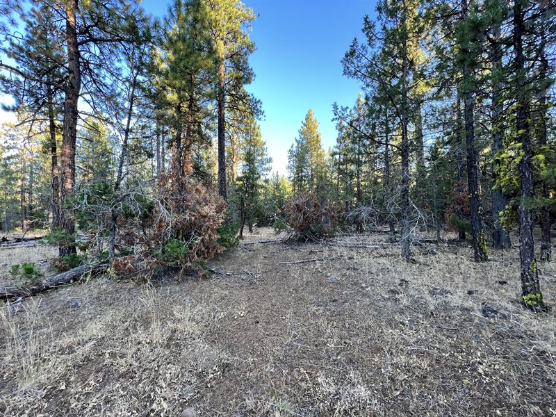Build Your Dream in Alturas, CA : Alturas : Modoc County : California