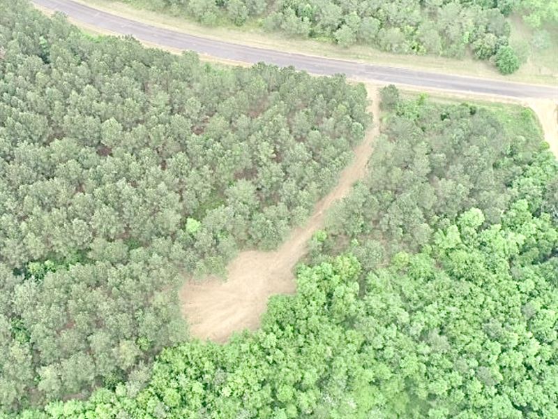 Beautiful Homesite : Oglethorpe : Macon County : Georgia