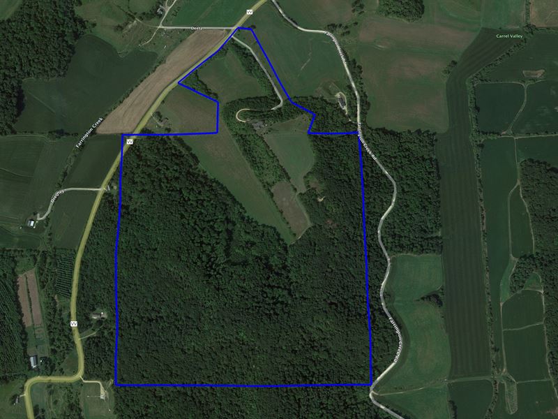184.23 Acres & Home, Buffalo County : Mondovi : Buffalo County : Wisconsin