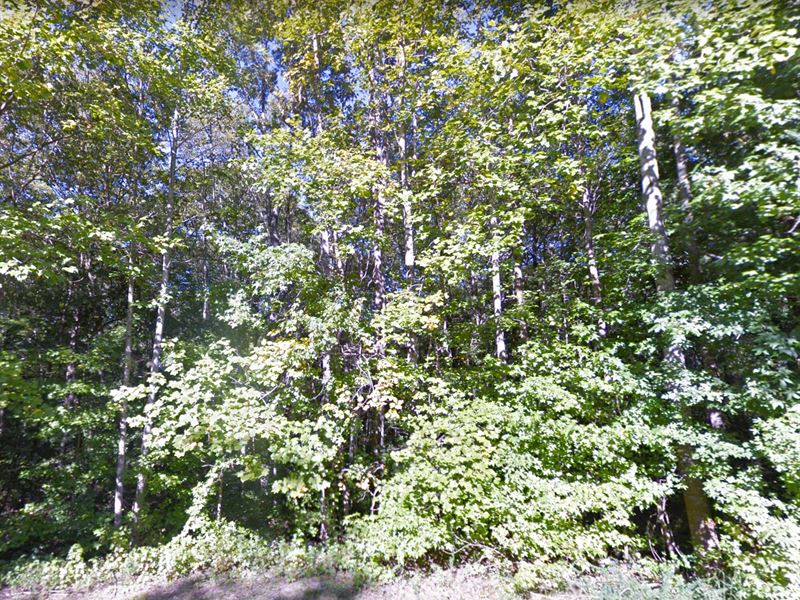 4+ Acres with Well & Septic : Tappahannock : Essex County : Virginia