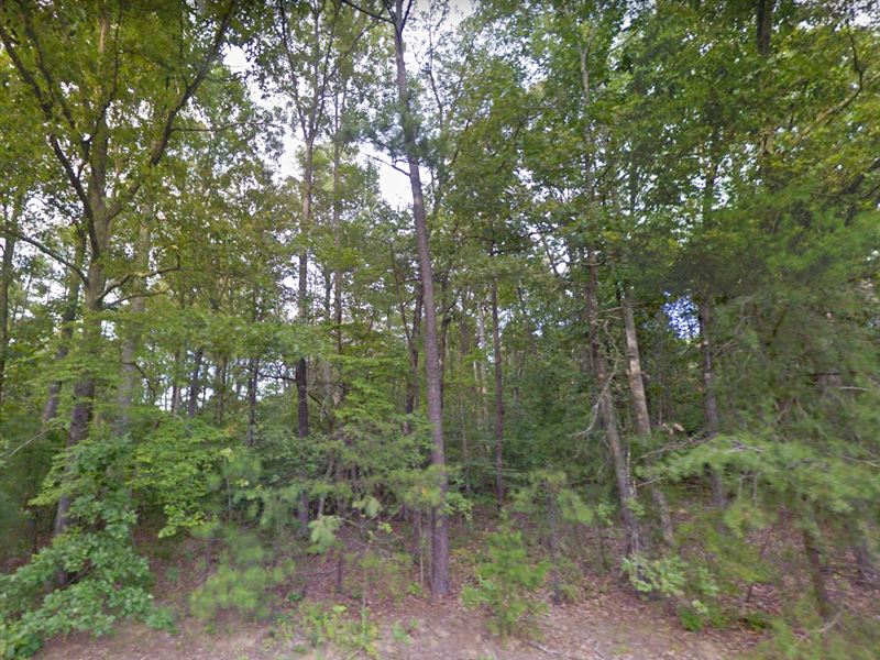 Peaceful Countryside Lot : Laneview : Essex County : Virginia