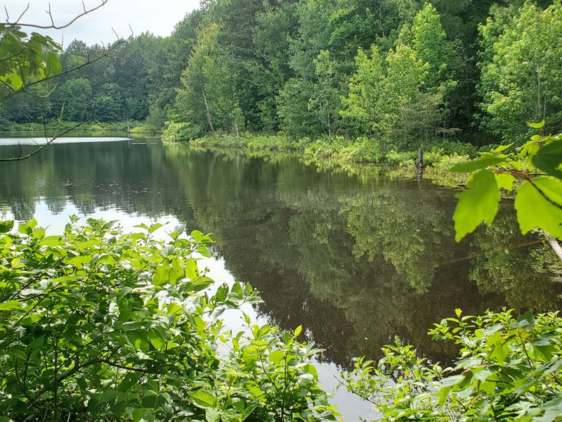 7 Acres, Pond, Tall Timber : Greensboro : Greene County : Georgia