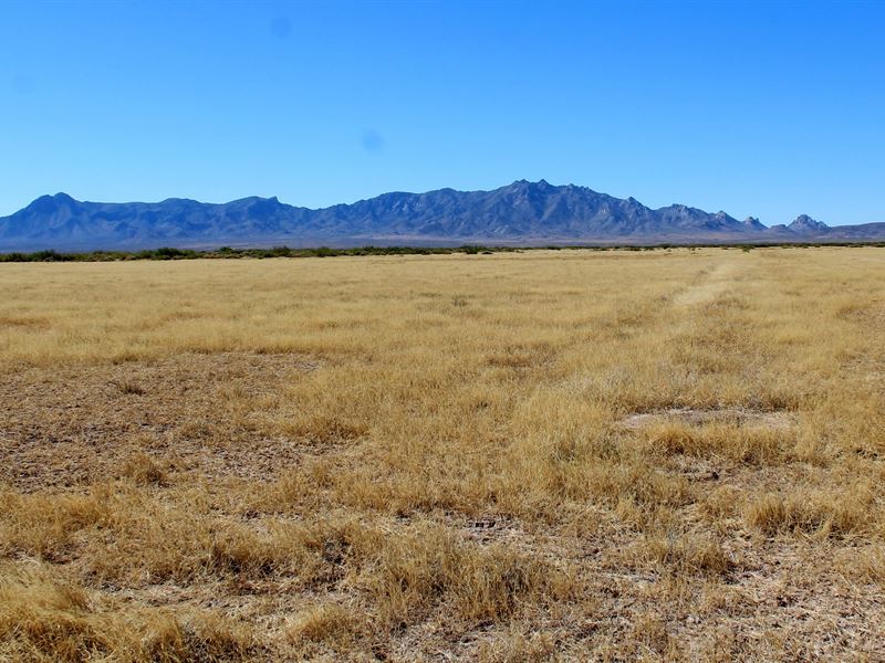 One Of The Last Hot Spots To Invest : Deming : Luna County : New Mexico